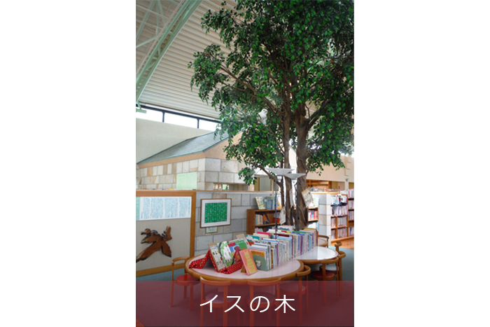 いすのき