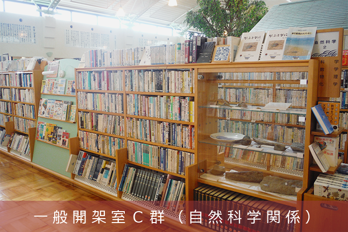 一般開架室C
