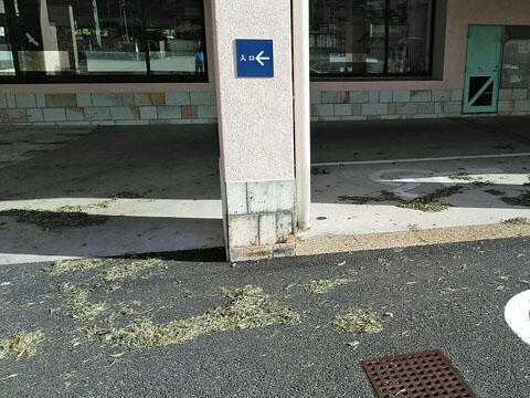 台風14号01